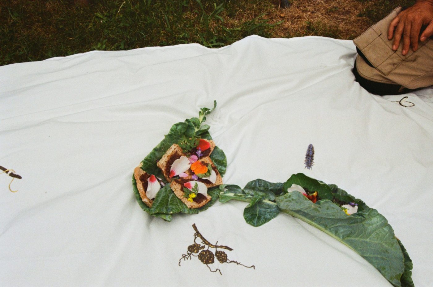 Image décorative.