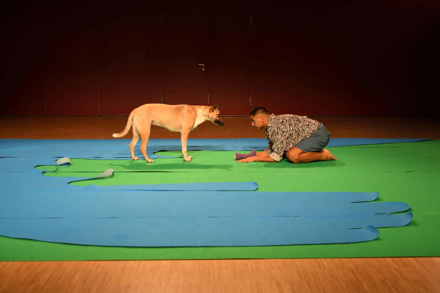 The room's floor is recovered by sky blue and bright green coloured carpets. The artist Elvio Avila is crouched in front of his dog. They look at each other.