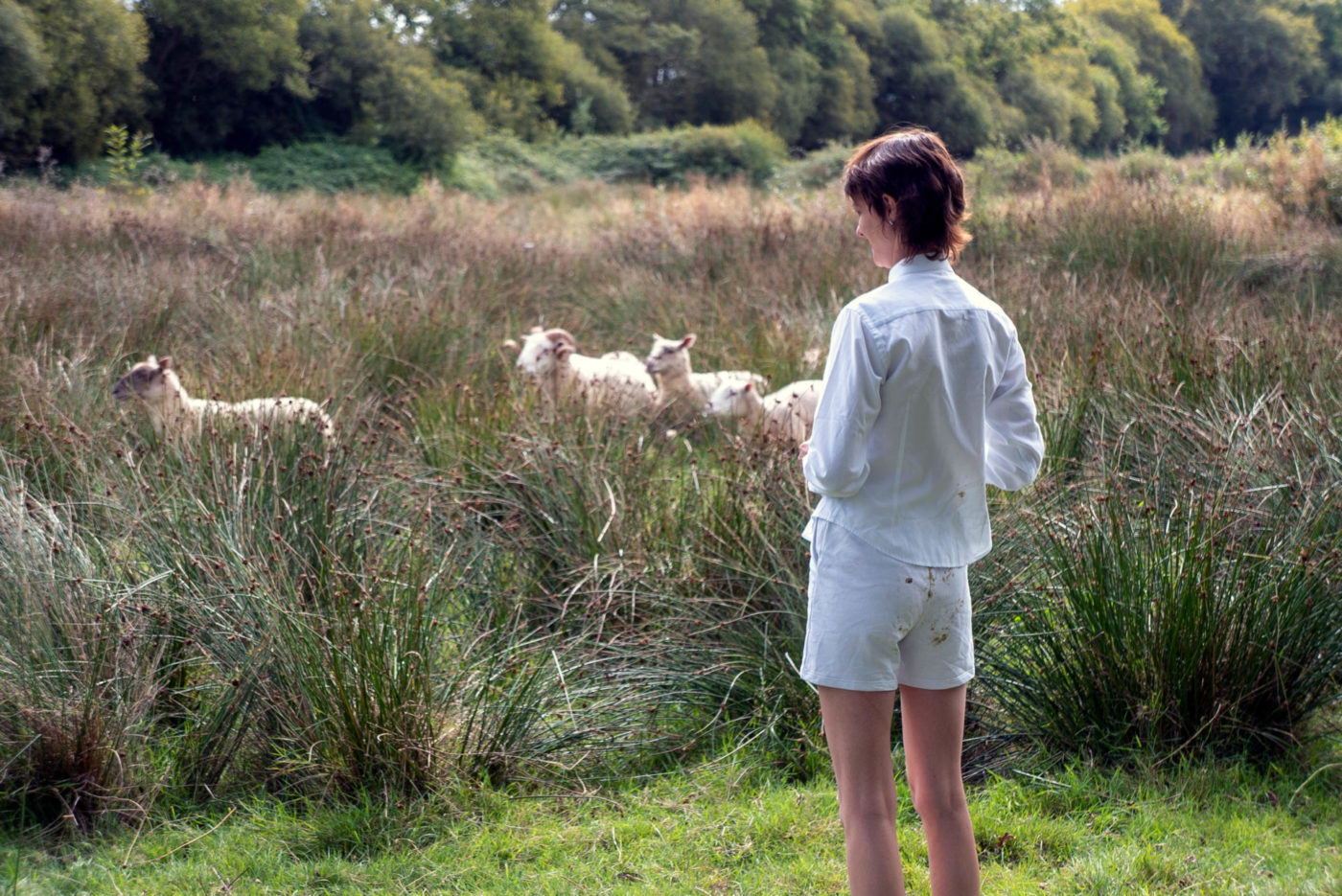 Marion Thomas is standing in a field. She is facing away. She is wearing a shirt and shorts. She is looking at some sheep. The sheep have gone into the bushes.